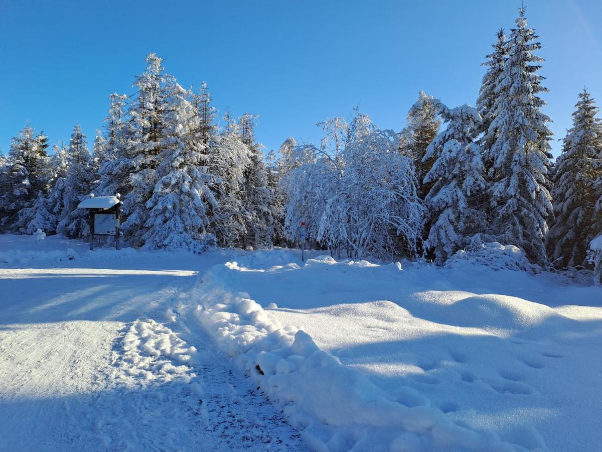Wohnen Wie Bei Freunden Braunlage Exterior foto